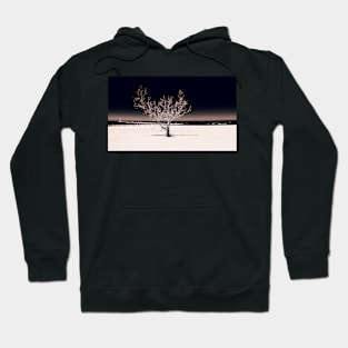 "Rooted" Hoodie